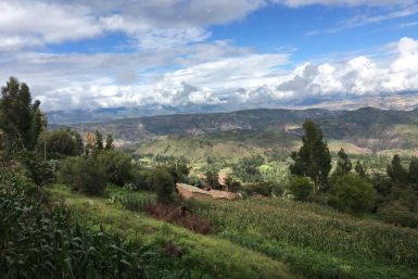 ウィラコッチャ<br>Wiraccohca