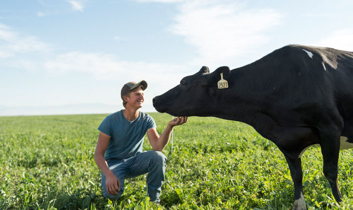 生産者紹介 Page 2 アリサンオーガニックセンター Alishan Organic Center