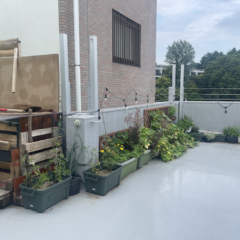 アリサンオーガニックセンター Alishan Organic Center