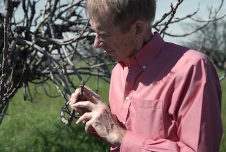 サンホアキンフィグSan Joaquin Figs アリサンオーガニックセンター Alishan Organic Center