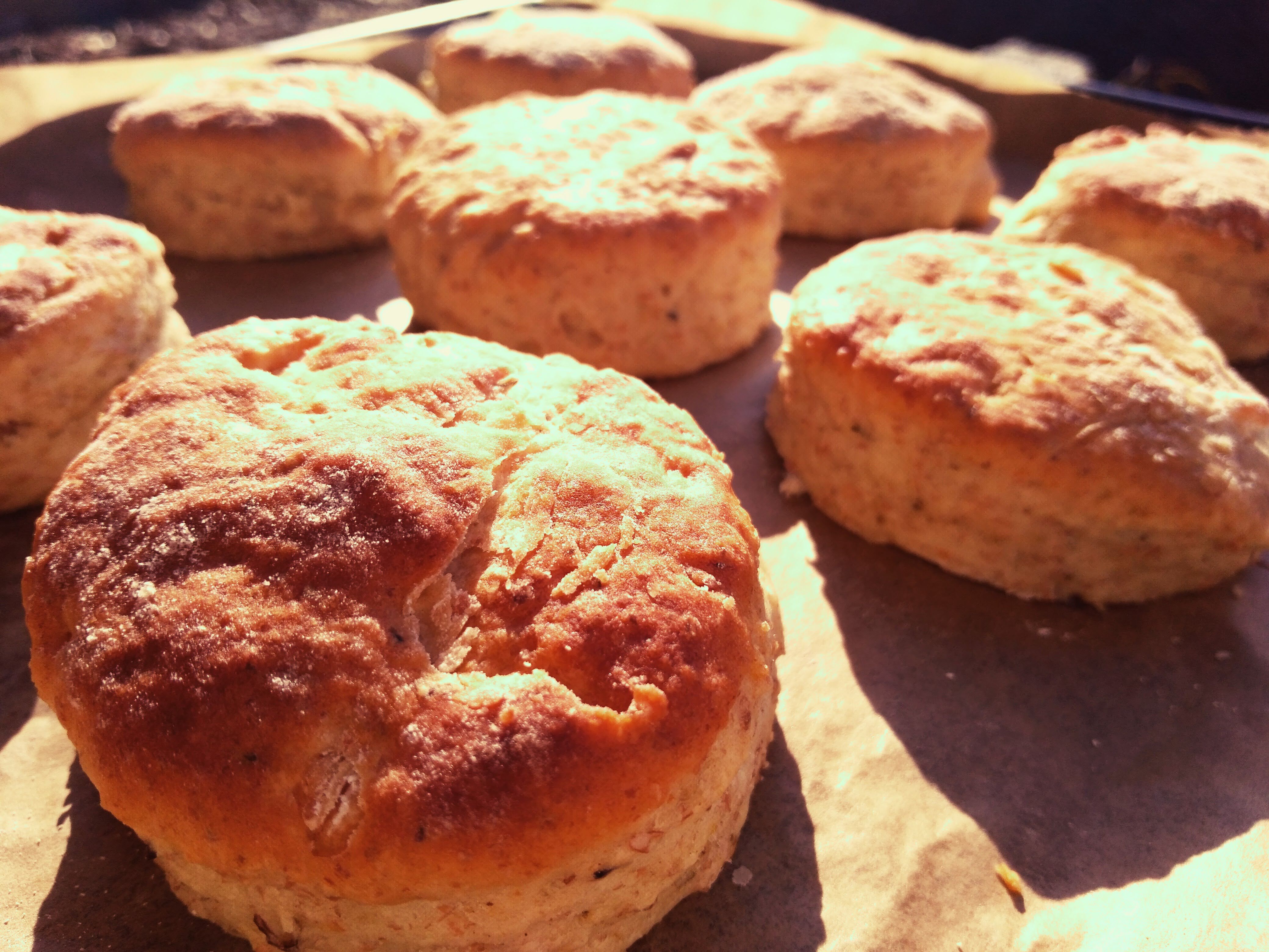 ニュートリ・チーズ風味のホットビスケット Vegan ‘Cheese’ Biscuits アリサンオーガニックセンター Alishan
